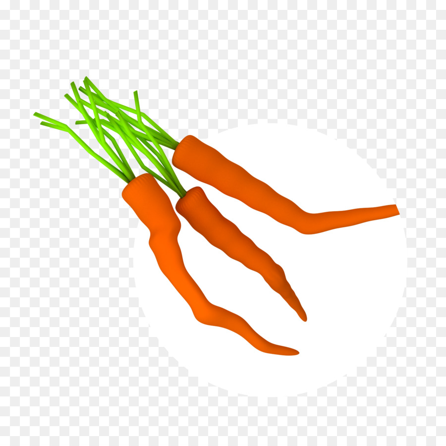 Zanahorias，Raíz PNG