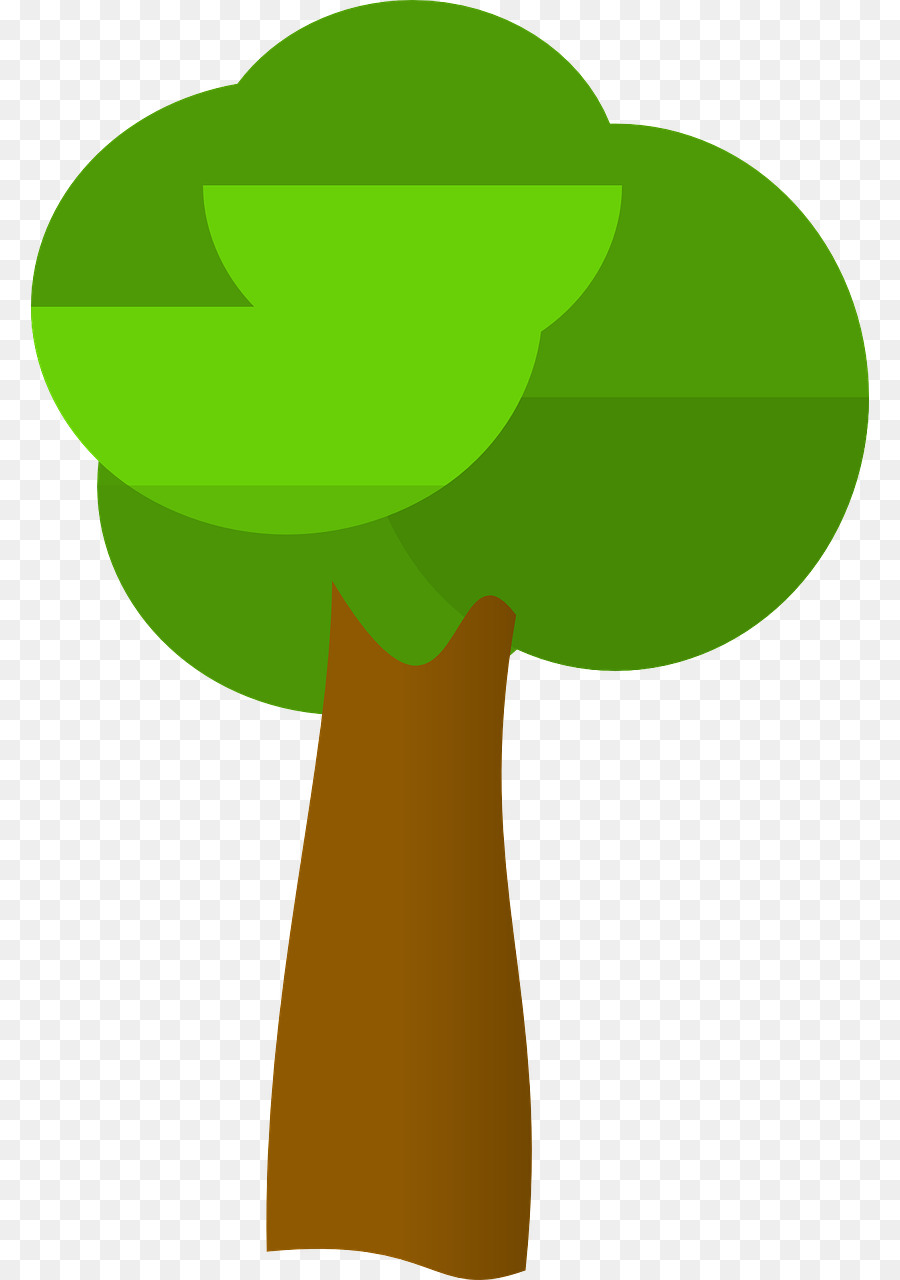 Árbol，Planta PNG