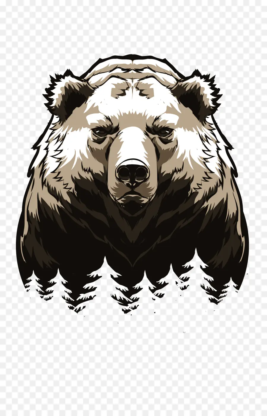 Oso，Oso Pardo PNG