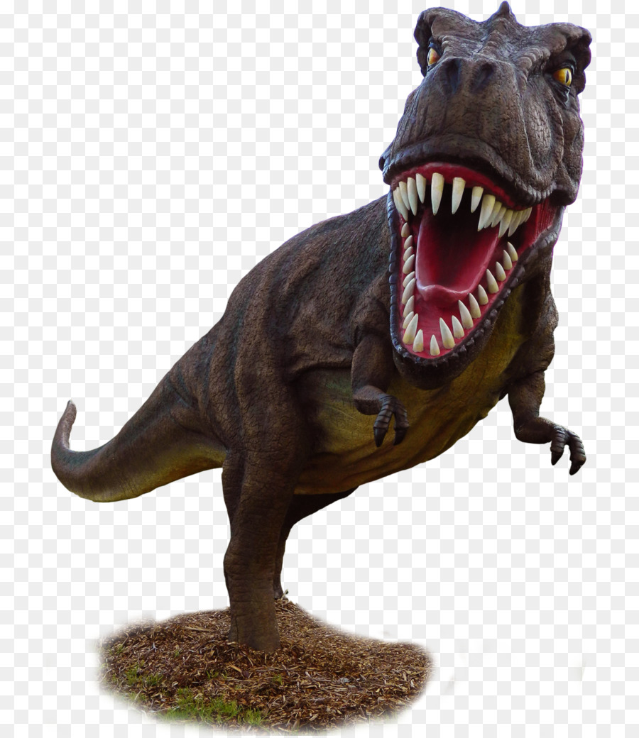 Tyrannosaurus，Dinosaurio PNG