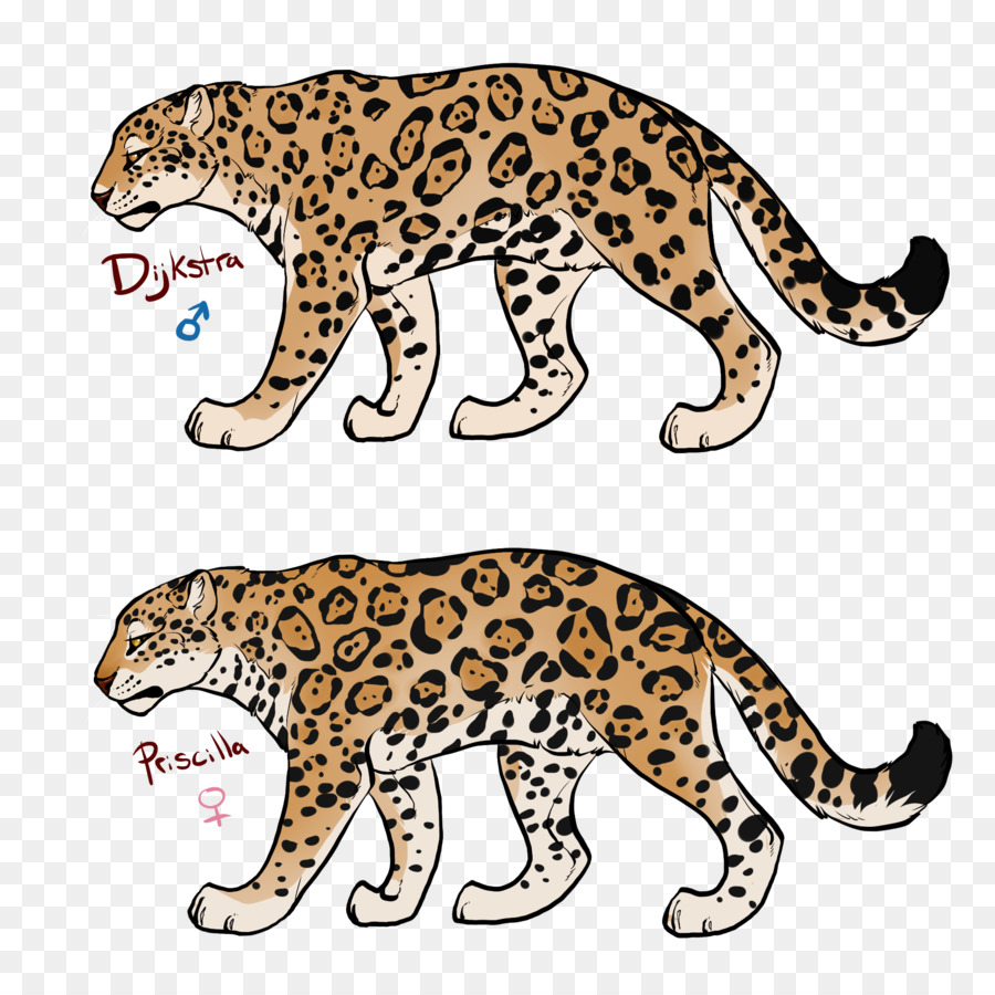 Leopard，Jaguar PNG