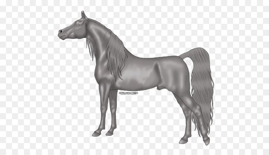 Caballo árabe，Semental PNG