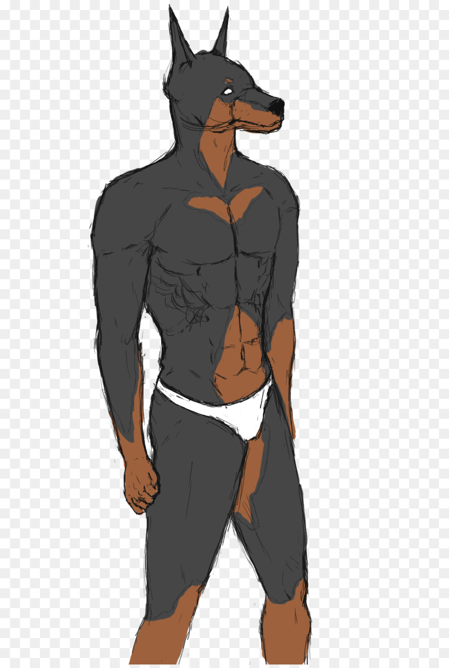 Camiseta，Dobermann PNG