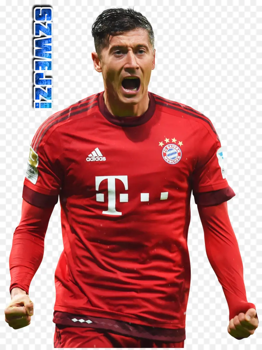 Robert Lewandowski，201112 Bundesliga PNG