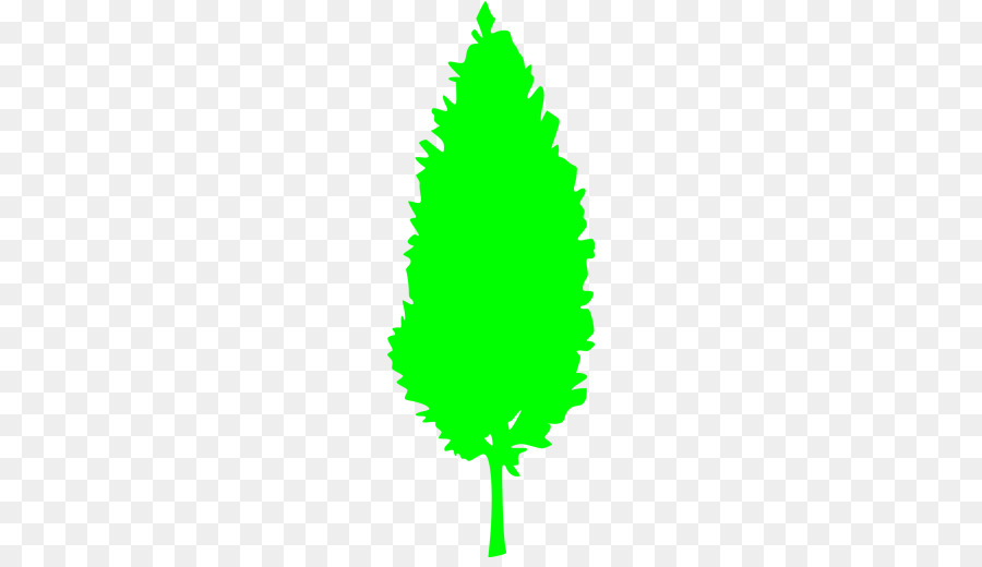 Fir，árbol PNG