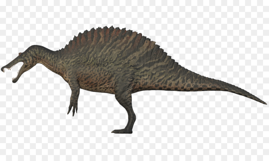 Tiranosaurio，Espinosaurio PNG