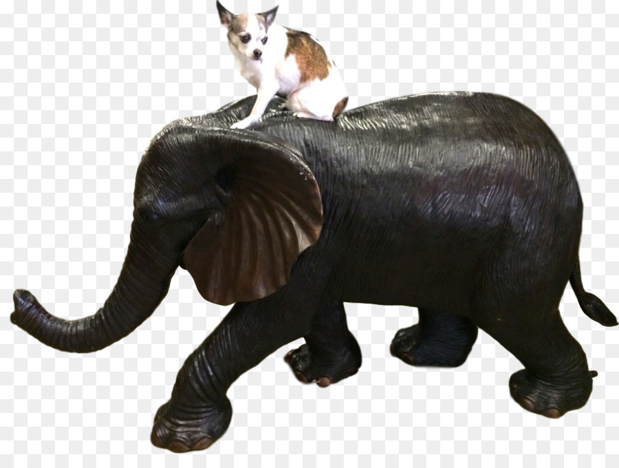 Elefante Indio，El Elefante Africano PNG