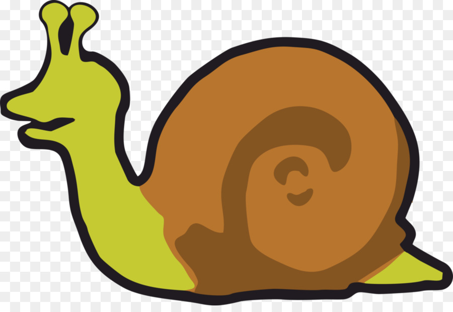 Caracol，Molusco PNG