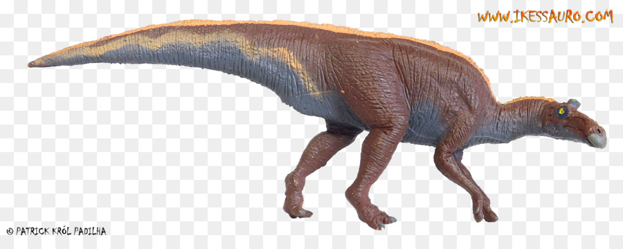 Tyrannosaurus，Dinosaurio PNG