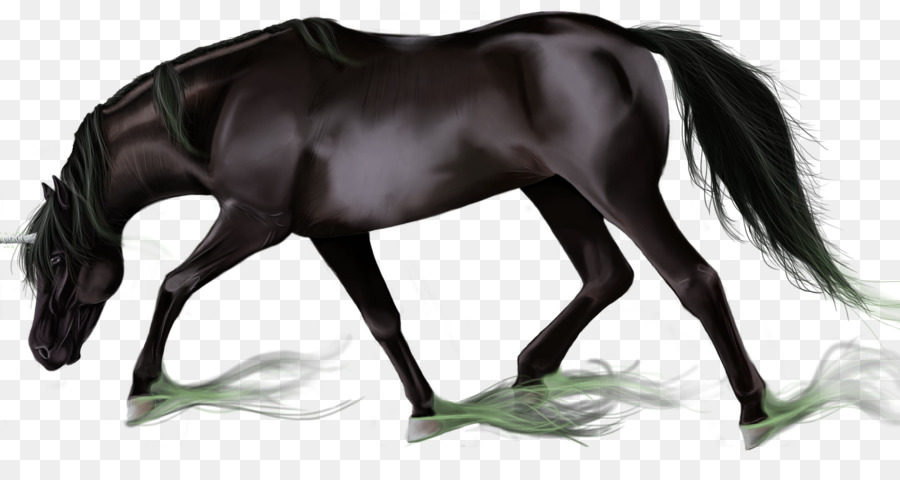 Caballo Decorado，Patrones Verdes PNG