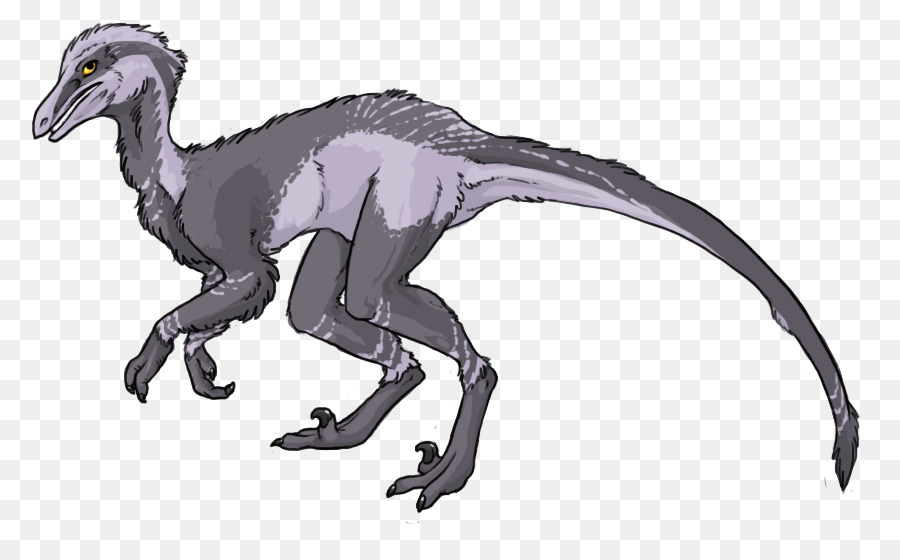 Velociraptor，Pyroraptor PNG