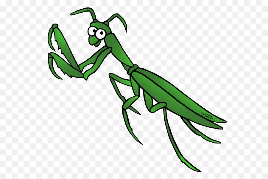 Mantis，Flor Mantis PNG