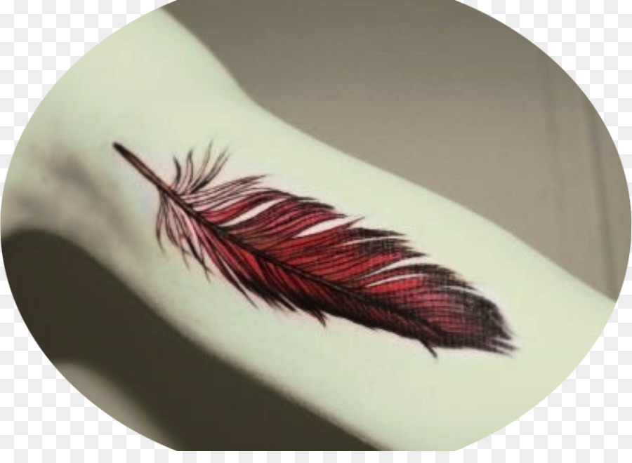 Tatuaje De Pluma，Brazo PNG