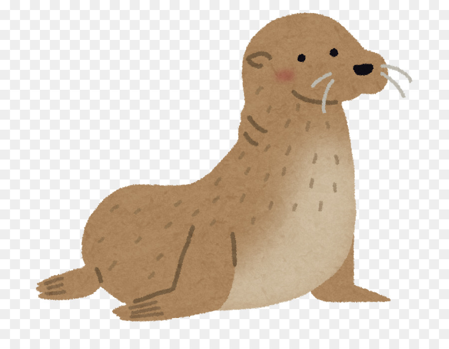 León Marino，Foca De Piel PNG