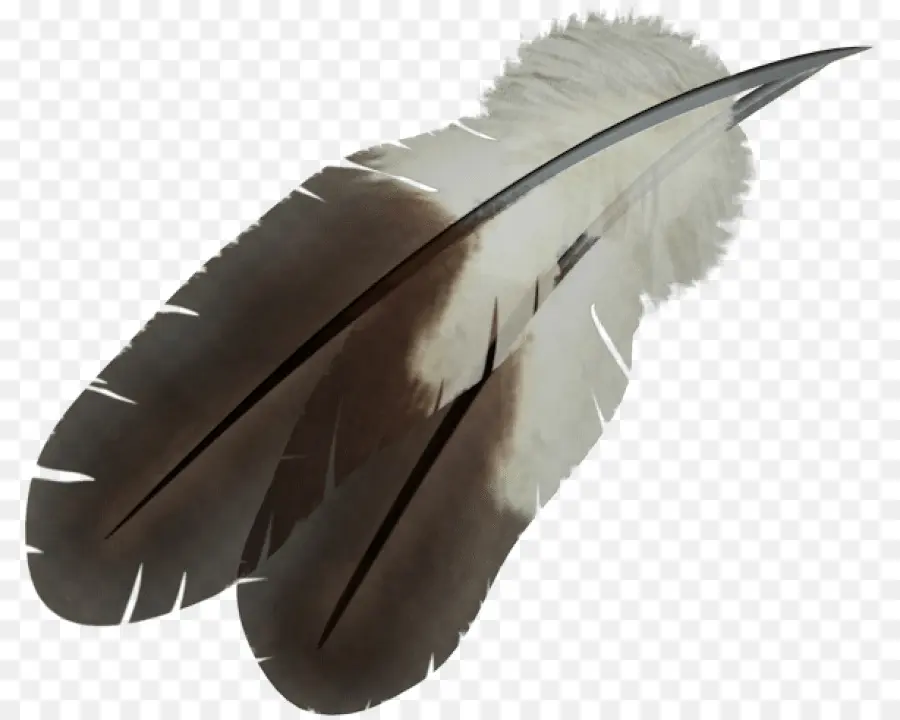 Pluma，Plumas De águila Ley PNG