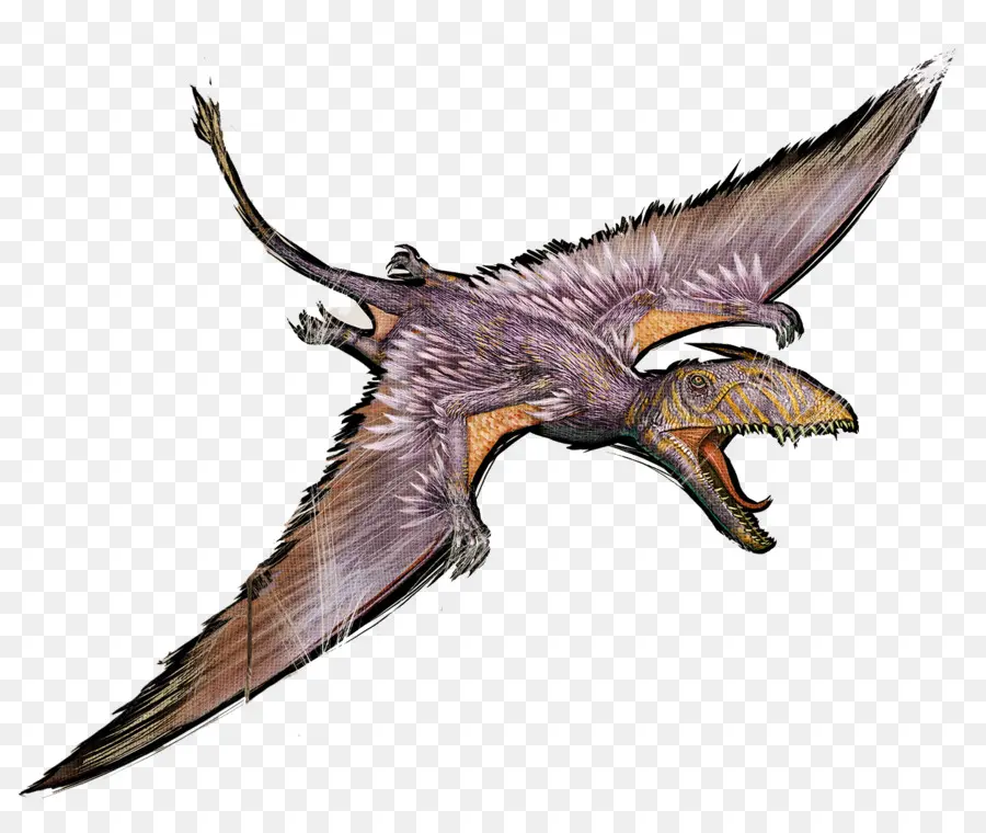 Arca De Supervivencia Evolucionado，Gallimimus PNG