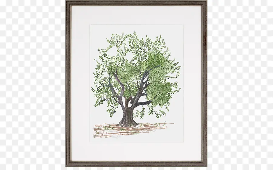 Dibujo De Arbol，Arte PNG