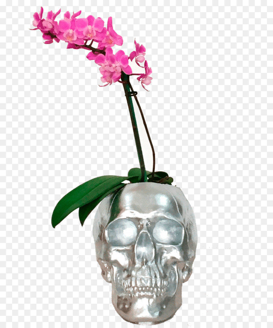 Cortar Flores，Maceta PNG