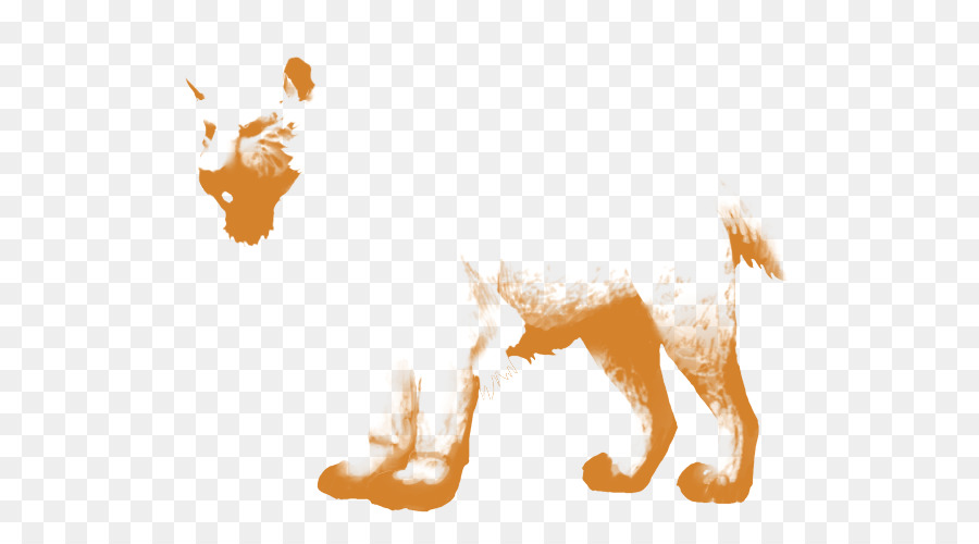 Perro，Gato PNG