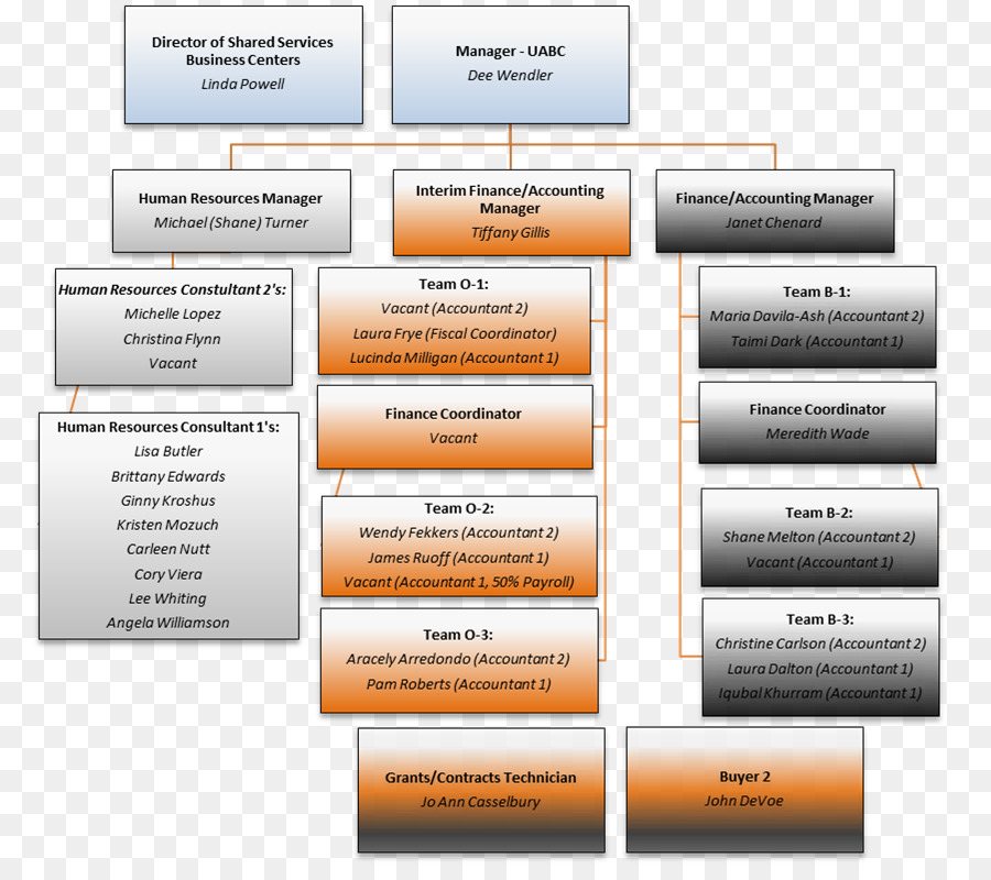 Organización，Estructura Organizativa PNG