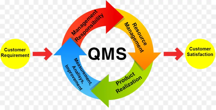 Organización，Sistema De Gestión De Calidad PNG