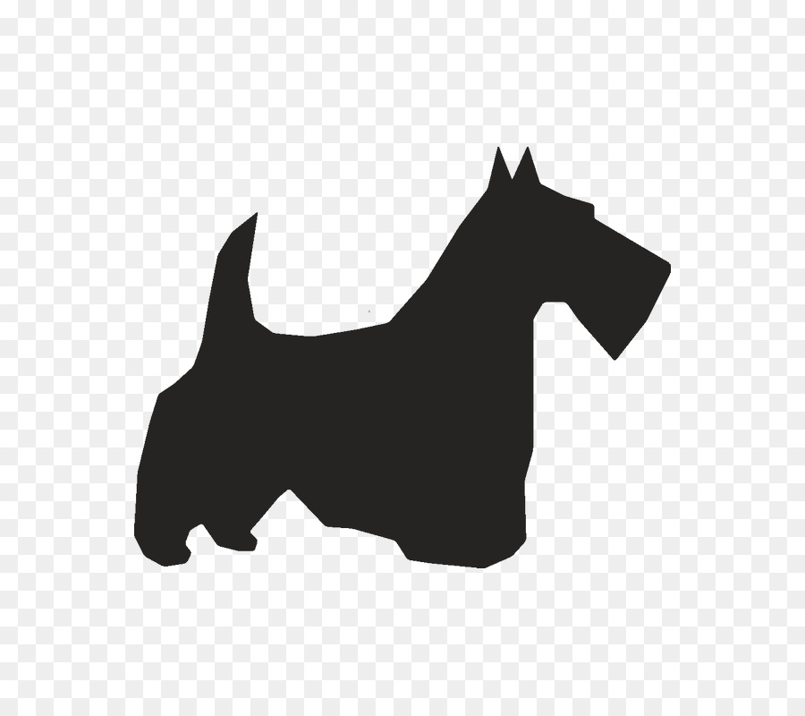 Scottish Terrier，American Pit Bull Terrier PNG