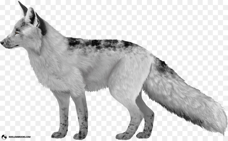 Perro Lobo Checoslovaco，Saarloos Lobo PNG