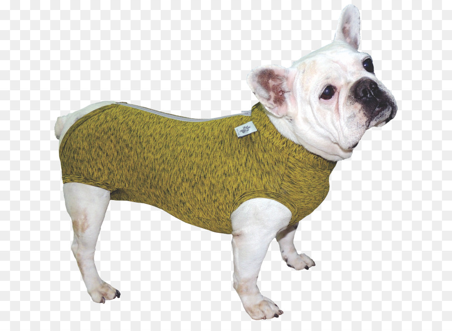 Perro，Ropa PNG