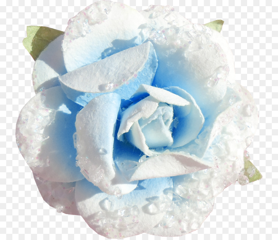 Rosa Azul，Rosa PNG