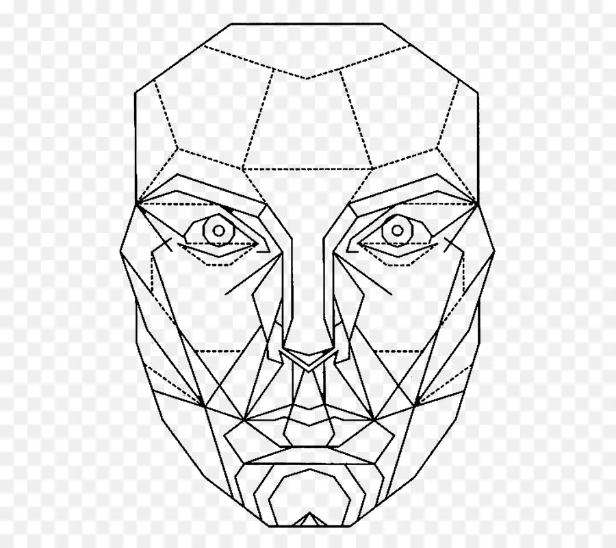 Rostro，Hombre De Vitruvio PNG