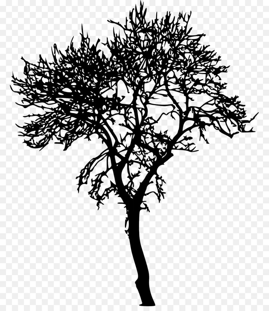 Ramita，árbol PNG