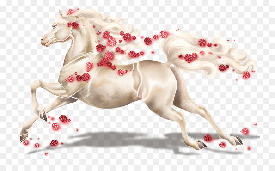 Caballo，Correr PNG