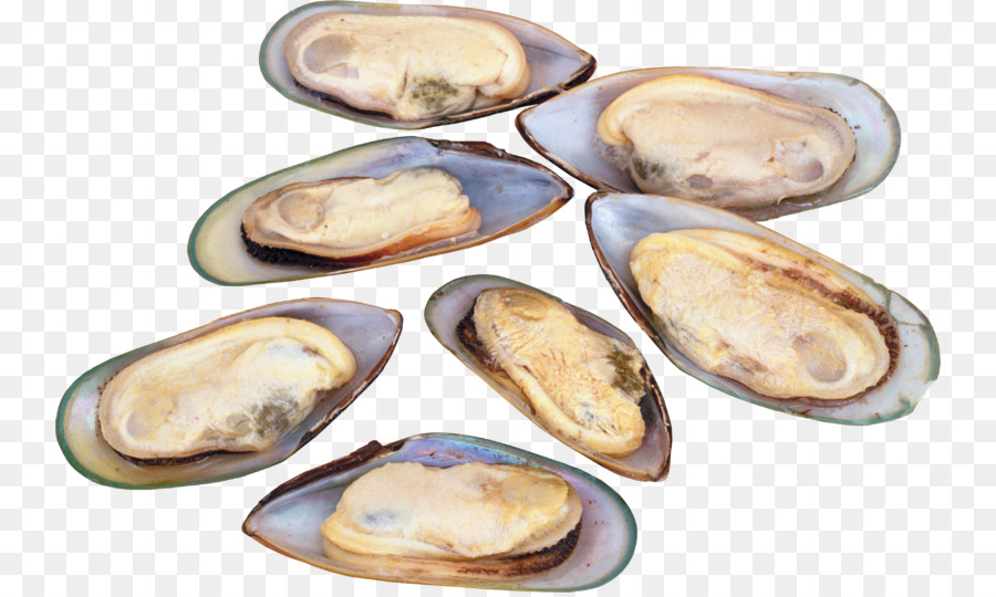 Mejillones Cocidos，Alimento PNG