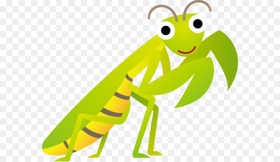 Los Insectos，De Dibujos Animados PNG