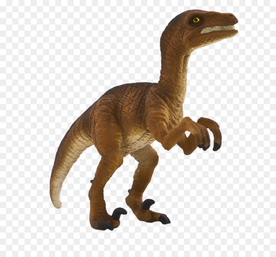 Velociraptor，Tiranosaurio PNG