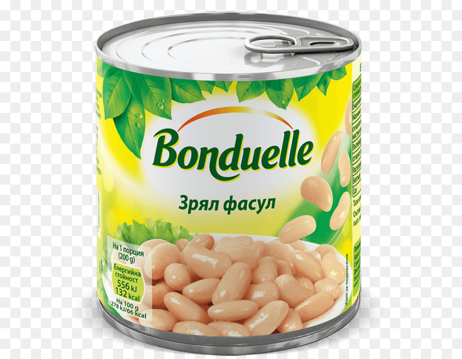 Vegetal，El Frijol Común PNG