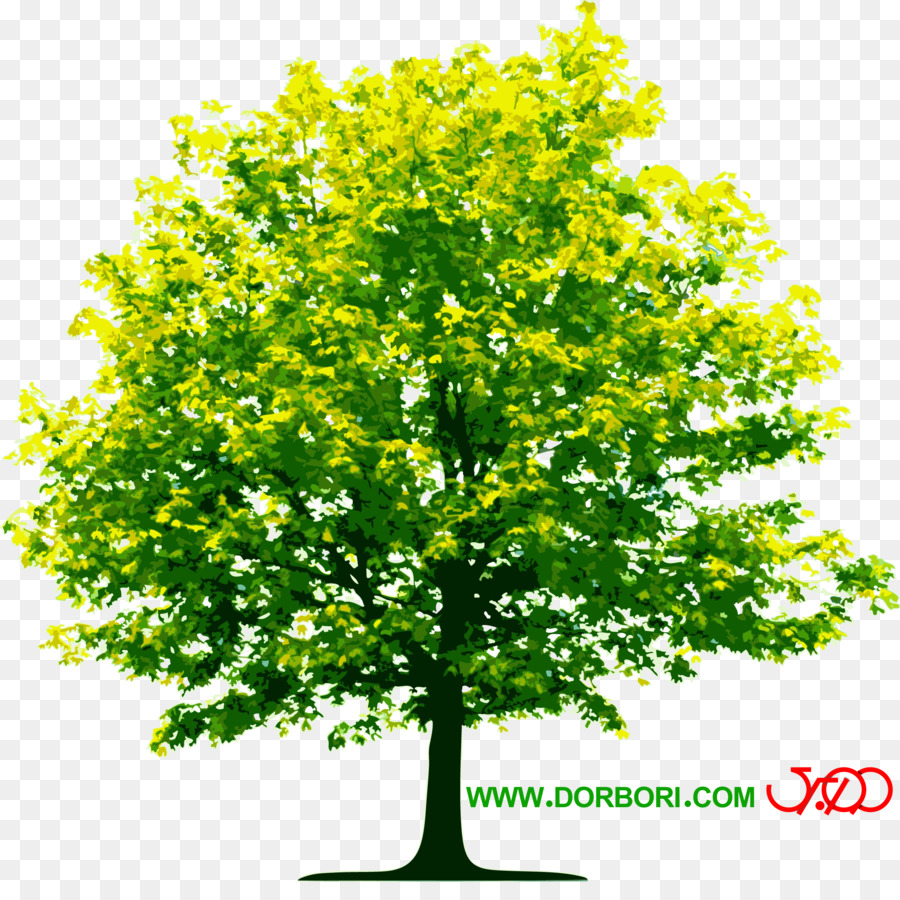 árbol，Negocio PNG