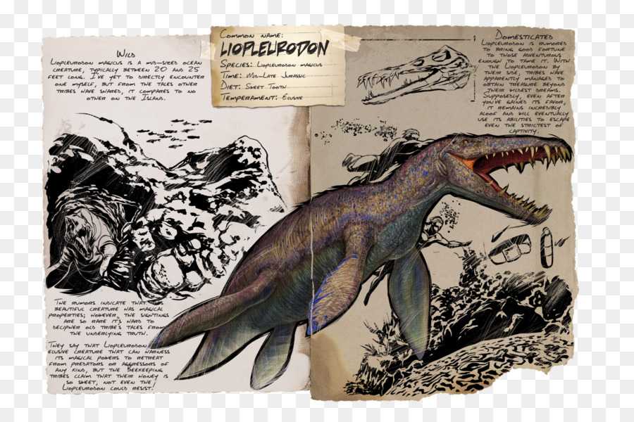 La Supervivencia Del Arca Evolucionó，Liopleurodon PNG