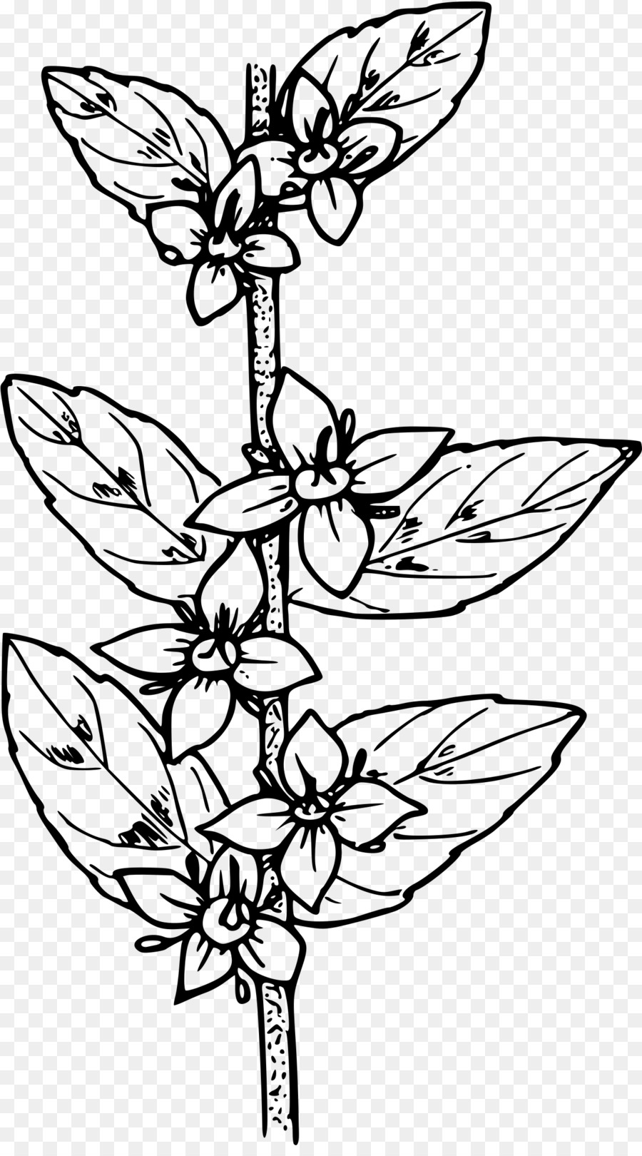 Dibujo De Flores，Flor PNG