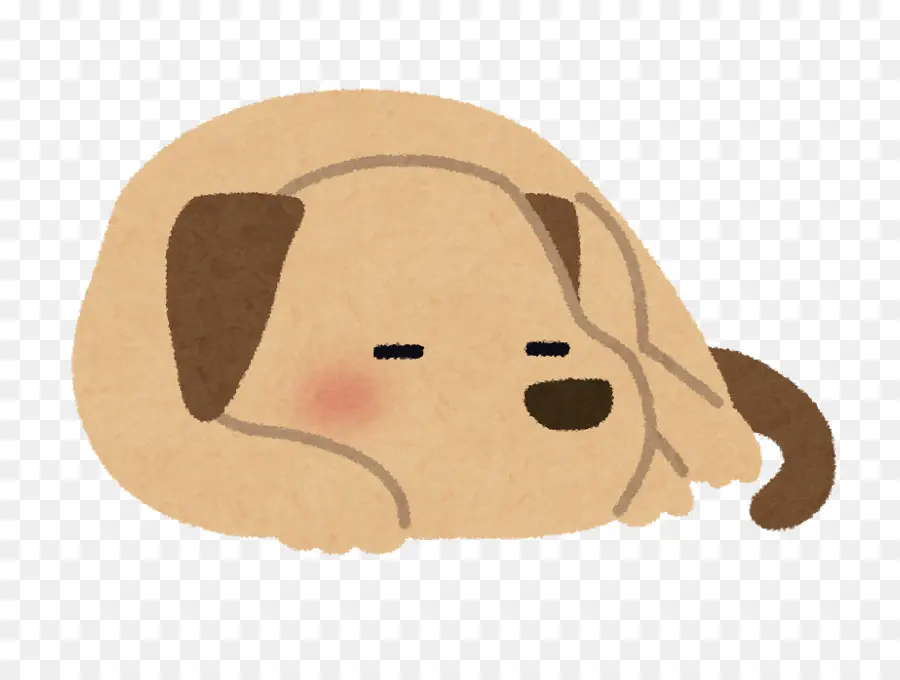 Perro Durmiendo，Lindo PNG