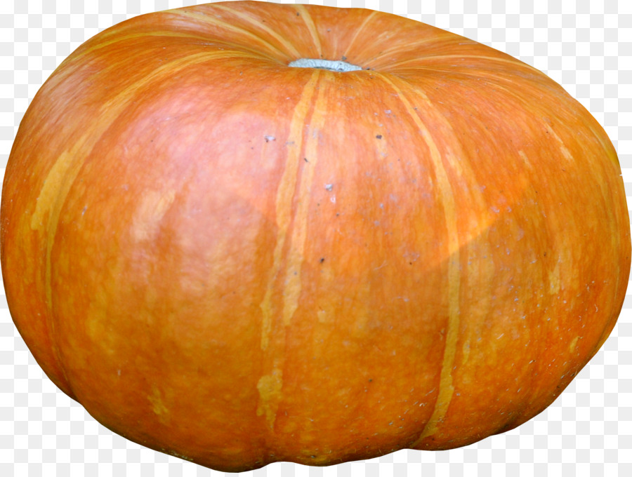 Calabaza，Calabaza De Invierno PNG