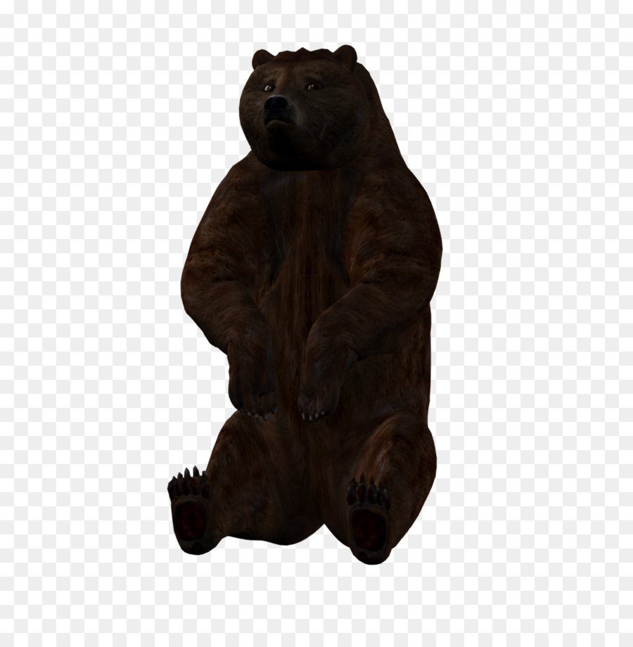 Oso Grizzly，Oso PNG