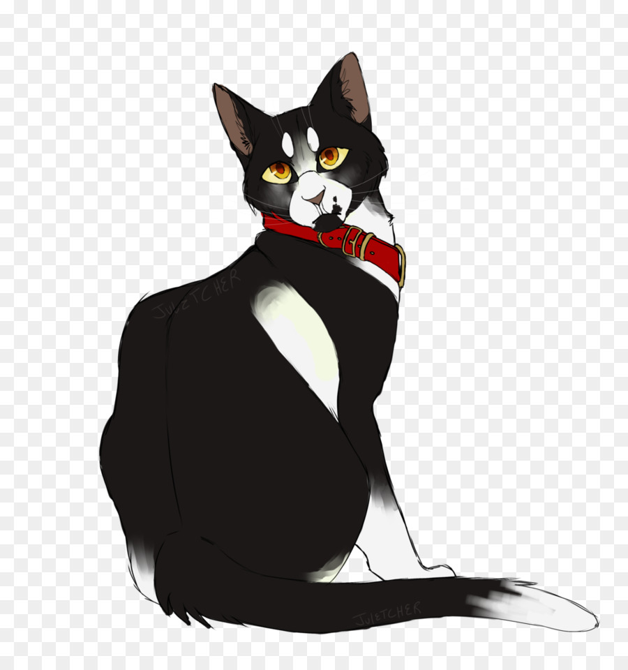 Bigotes，Gato Negro PNG