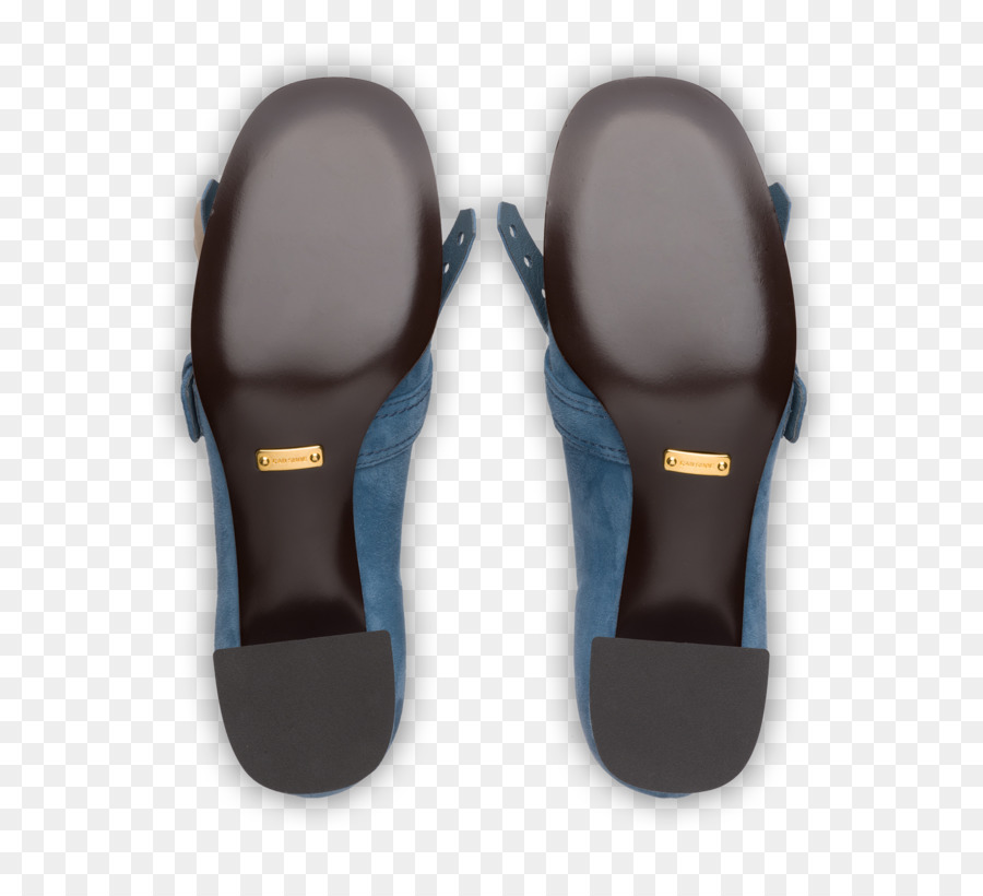 Flipflops，Zapatilla PNG