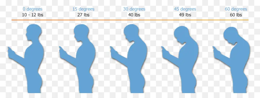 Diagrama De Postura，Postura PNG