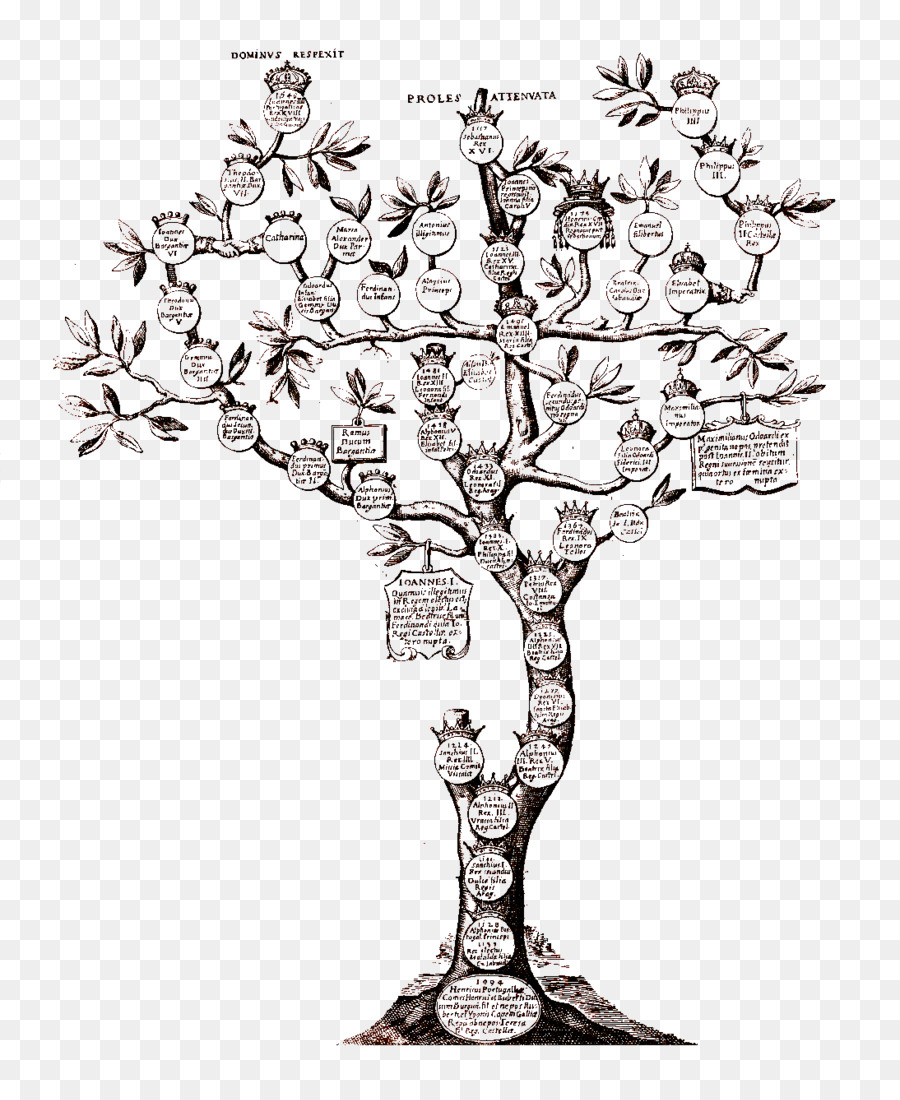 Genealogía，árbol De La Familia PNG