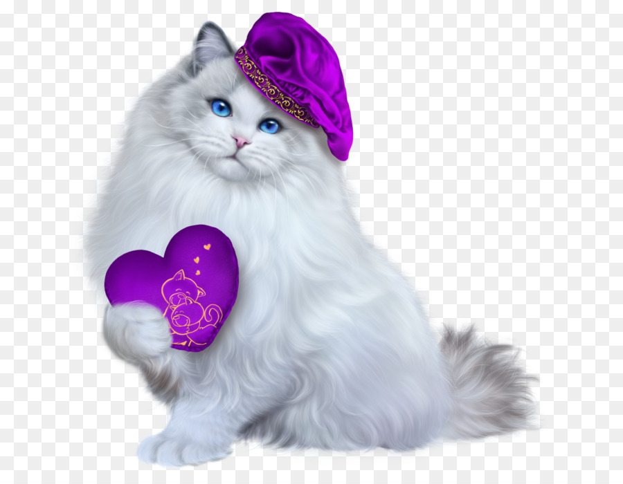 Gato Blanco，Sombrero PNG