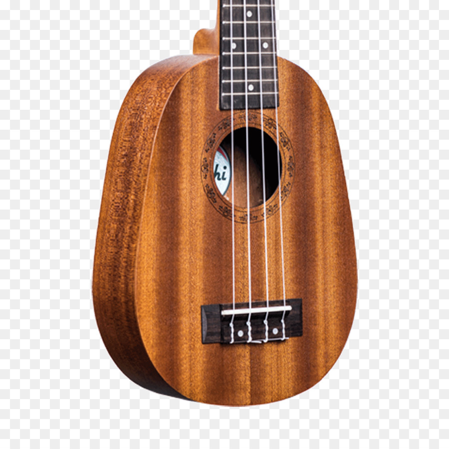 Bajo，Guitarra Acústica PNG