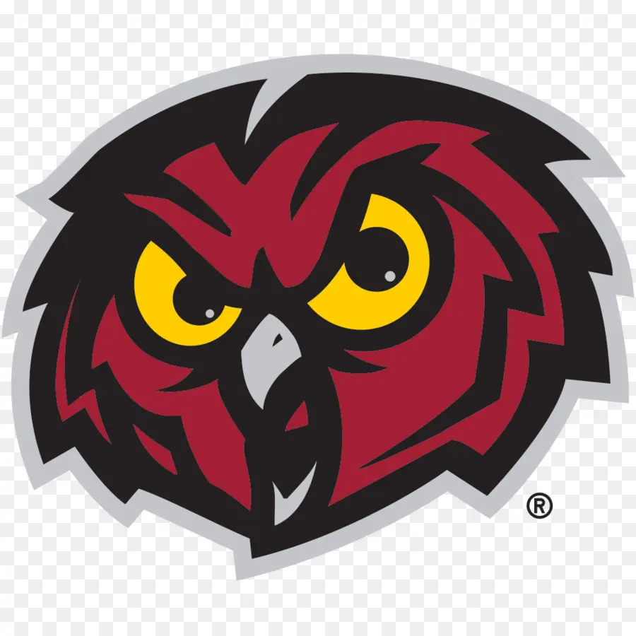 Temple Owls Football，Búho PNG