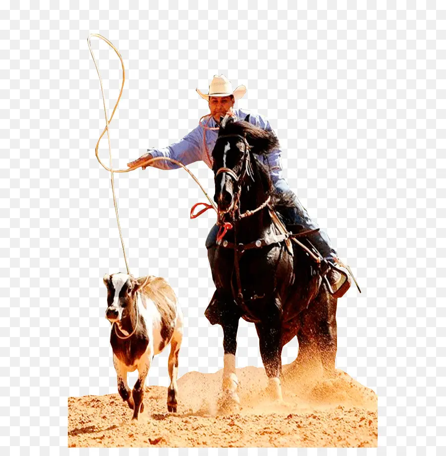 Vaquero，Caballo PNG